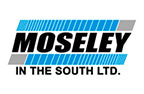 Molseley In The South Logo