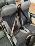 3 point belts